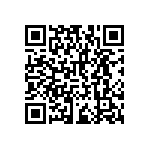 RNCF2512DTC133R QRCode