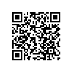 RNCF2512DTC2K94 QRCode