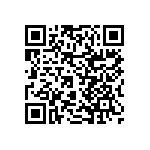 RNCF2512DTC383R QRCode