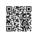 RNCF2512DTE102K QRCode