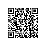 RNCS1206BKE4K99 QRCode