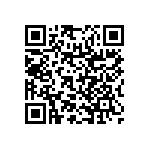 RNR55H1001FRRSL QRCode