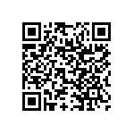 RNR55J2941DPB14 QRCode