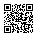 RPC1206JT4K30 QRCode