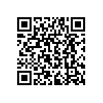 RPE5C1H3R0C2P1B03B QRCode