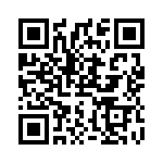 RS2B-13 QRCode