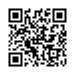 RSA22DTKT QRCode