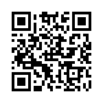 RSA30DTKT-S288 QRCode