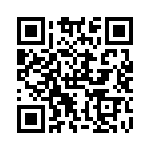 RSA32DTKT-S288 QRCode