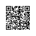 RT0402FRD07133RL QRCode