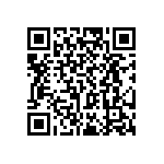 RT0805CRC0795K3L QRCode