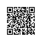 RT0805DRD07300KL QRCode