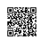 RT1206BRB07191RL QRCode