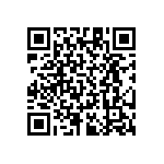 RT1206BRB07324RL QRCode