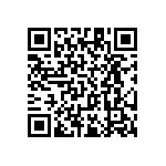 RT1206BRC0717R8L QRCode