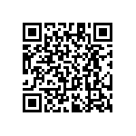 RT1206BRC0728R7L QRCode