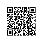 RT1206BRC0729K4L QRCode