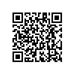 RT1206BRC07412RL QRCode