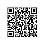 RT1206BRC0744K2L QRCode