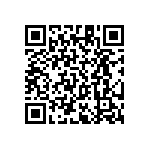 RT1206BRC07487RL QRCode