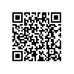 RT1206BRD07124RL QRCode