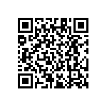 RT1206BRE07165KL QRCode