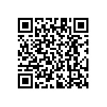 RT1206BRE07287KL QRCode