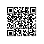 RT1206BRE076K04L QRCode