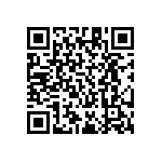 RT1206BRE07909KL QRCode