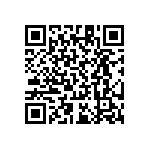 RT1206CRB07110KL QRCode