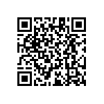 RT1206CRB07196KL QRCode