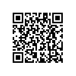 RT1206CRB071K13L QRCode