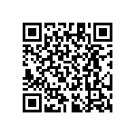 RT1206CRB07309KL QRCode