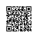 RT1206CRB073K24L QRCode