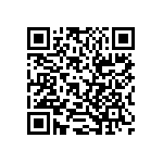 RT1206CRB073K3L QRCode