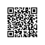 RT1206CRB07511KL QRCode