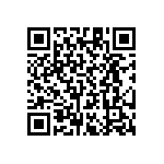 RT1206CRB0756K2L QRCode