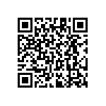 RT1206CRC0729K4L QRCode