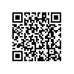 RT1206CRD0795R3L QRCode