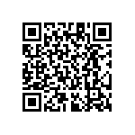 RT1206CRE07301RL QRCode