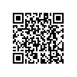 RT1206CRE073K16L QRCode