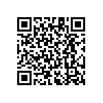 RT1206CRE07604RL QRCode