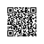 RT1206CRE07953KL QRCode