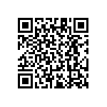 RT1206DRD0712R1L QRCode