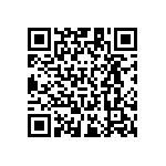 RT1206DRD0713KL QRCode