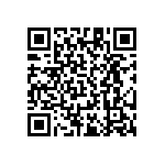 RT1206DRD0717R8L QRCode