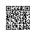 RT1206DRD071K13L QRCode