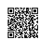 RT1206DRD07205KL QRCode