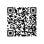 RT1206DRD07300RL QRCode