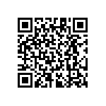 RT1206DRD07374RL QRCode